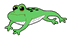 frog