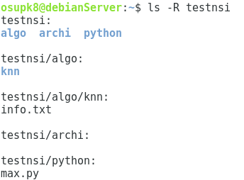 ls -R testnsi