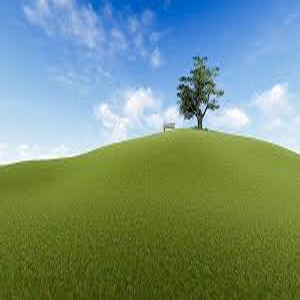 paysage